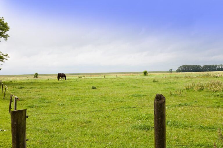 Hammrich Landschaft